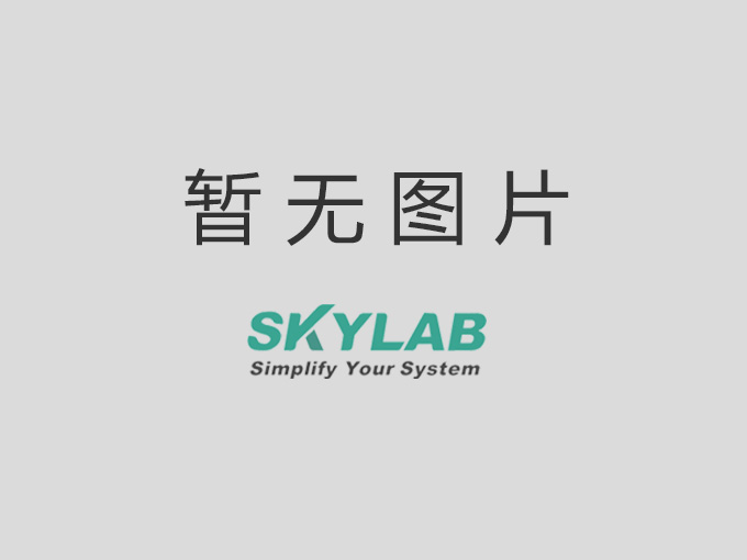 SKYLAB漂流记_清凉一夏