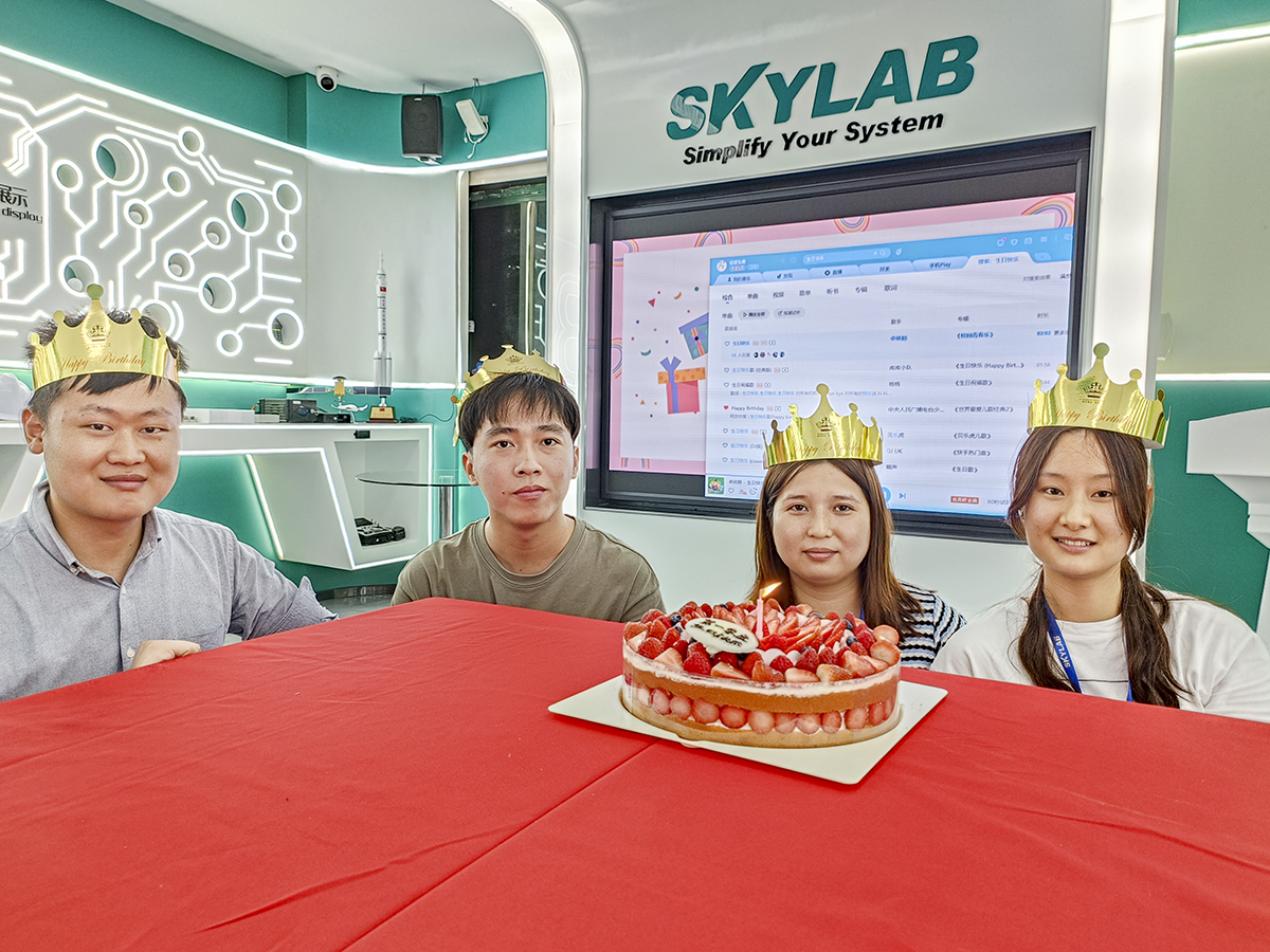 赴一场春日之约|SKYLAB 2023年第一季度生日会、迎新会